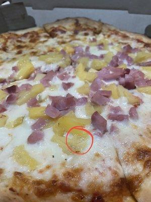 Hair in pizza