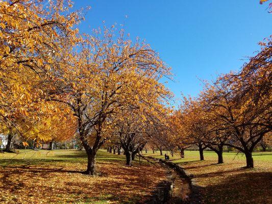 Autumn in NJ