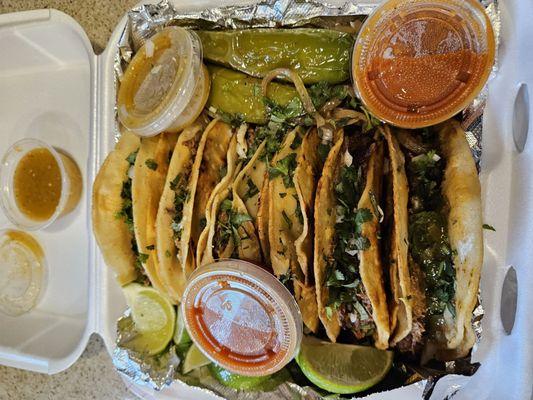 Six delicious barbacoa tacos