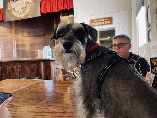 Crystal Palace Saloon - Dogs Allowed