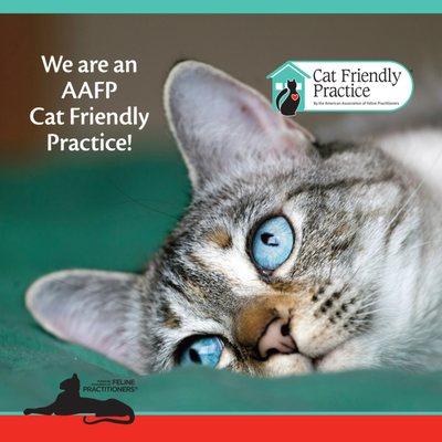 Dr. Klingborg is a proud member of the AAFP-- dedicated to improving cat health!