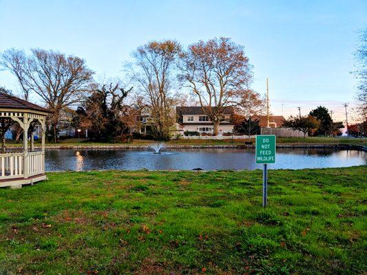 Kiwanis Park -- Pond