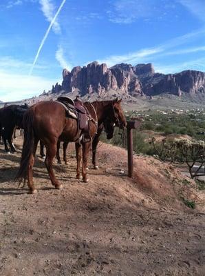 Ride on in have a drink fun