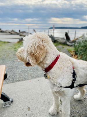 Mukilteo Lighthouse Park