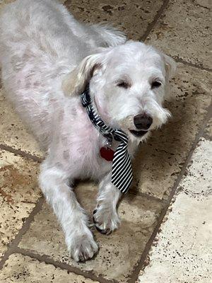 Waiting for mom to get home so he can showcase the new look.