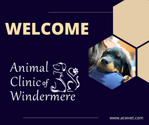 Animal Clinic of Windermere