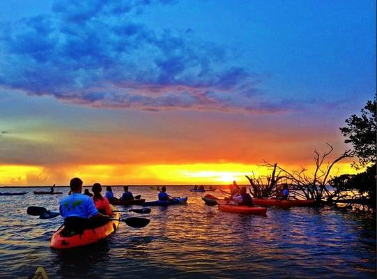 Kayak nature tours in Orlando and Cocoa Beach.