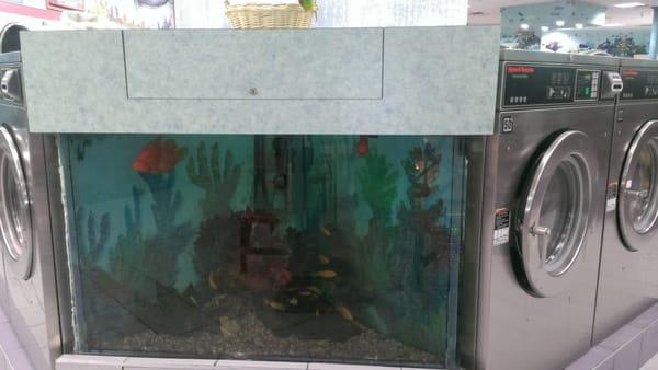 Fish tank