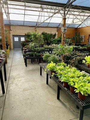 Part of the inside their greenhouse. Really wish I picked up a 6" neon pothos when I had the chance.