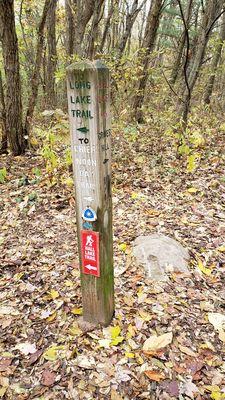 Multiple trails off of the loop for the devil's soup bowl