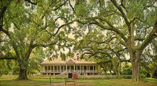 Plantation tours!