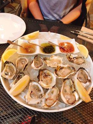 Oysters