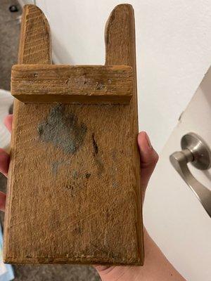 Mold on personal belongings