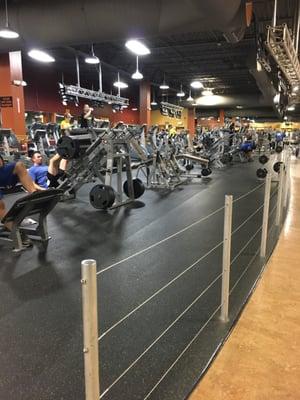 Tons of cardio equipment