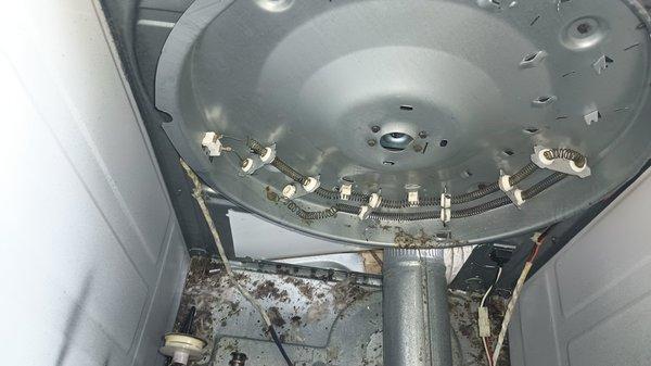 Heating coil replacement. Dryer