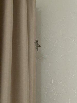 That was in my room