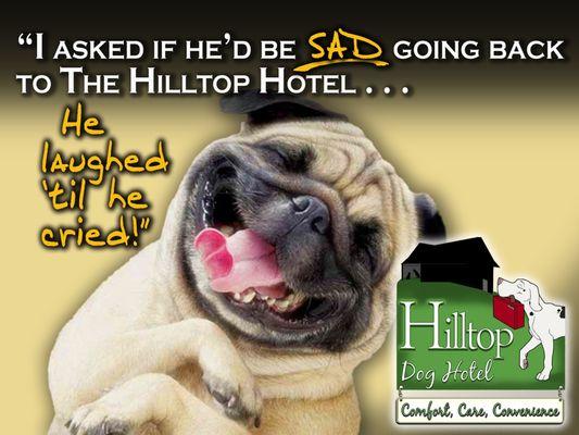 Hilltop Dog Hotel