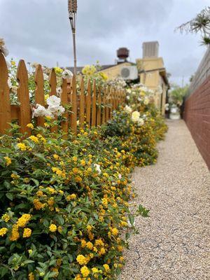 Pathway to back garden