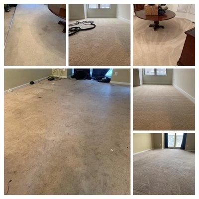 Carpet cleaning promotion 35$ per room