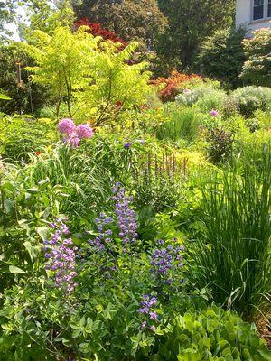 Planting design/installation phase of a multi-year nature inspired garden and landscaping project.