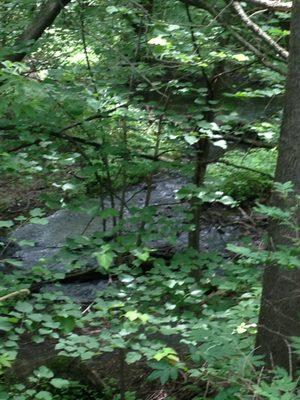 Unwind to the sound of the stream bouncing over the rocks on its way to the nearby St Croix River.  Be sure to hike the trails.