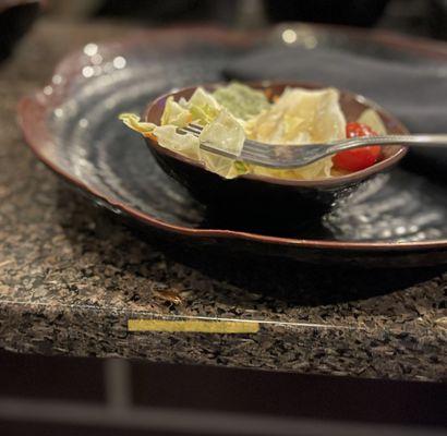 Crawling roach on the table at Sake restaurant in Mansfield, Tx. Awful experience. Beware.