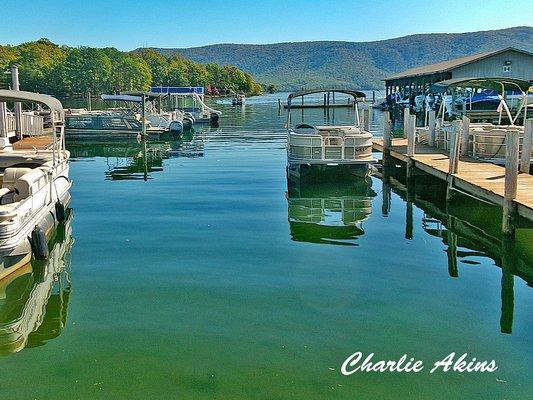 Parkway Marina