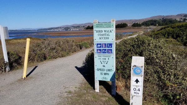 From Doran Beach heading back to the parking lot at Hwy 1