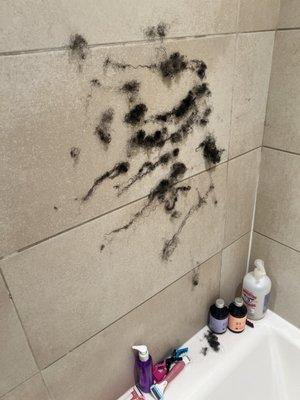 All the knotted and shed hair I removed by hand after I was told that my hair was detangled before she washed it.