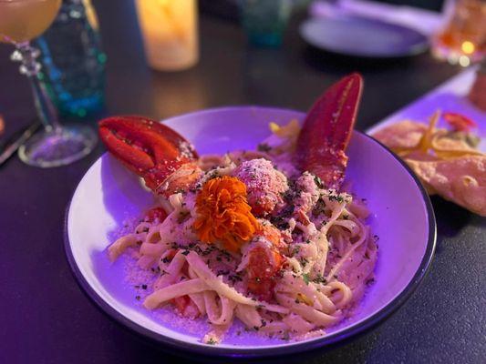 Lobster pasta. Filled with lobster!!