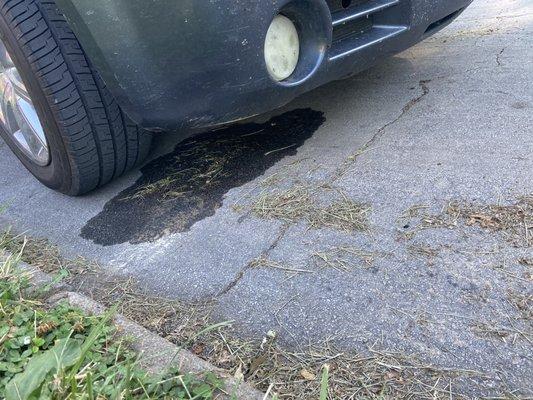 Leak under his car - definitely not water !!! Also he had to drive around with power steering fluid in his car !!!!