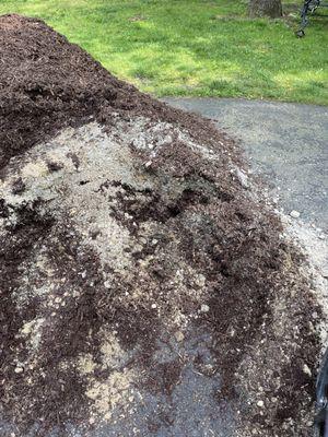 Sand spilling out of bark