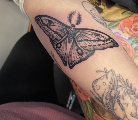 My beautiful moth done by Faith!