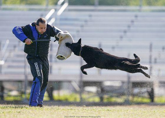 Camilla and Dirty 2022 AWDF National IGP Championship