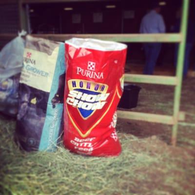 From Dog Food, Cat Food, Cattle & Horse Feed, we have everyone covered on the farm.