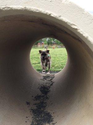 She loves this pipe.