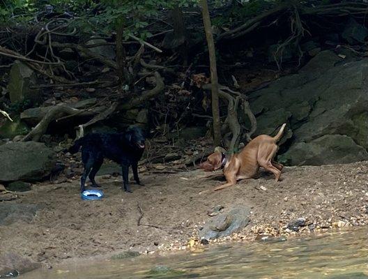 Sand bar aerobics