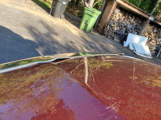 The gap is large enough to hold water so it sprays out on my windshield after the rain clears and it is currently full of leaves and debris.