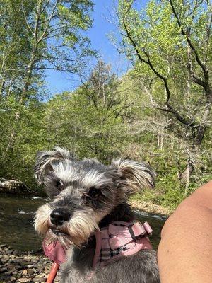 Relaxing at river