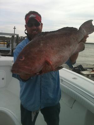 Wrightsville Beach, NC Fishing Charter (Captain For Hire Charter Fishing Trip:  Red Grouper Fishing! )