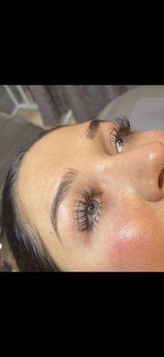 The Lash Lounge