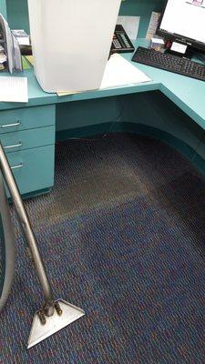 Health First Office Carpet Steam Cleaning