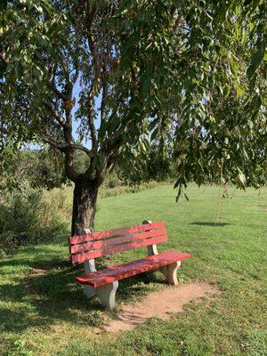 Near the playground and tennis court