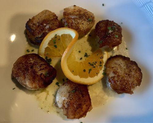 Pan Seared Scallops