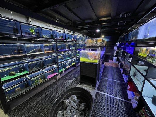 Fish room!