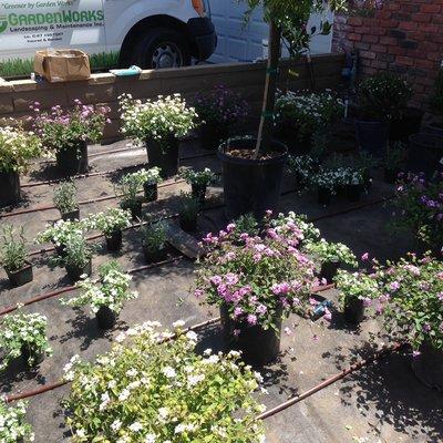 Garden Works Landscaping & Maintenance