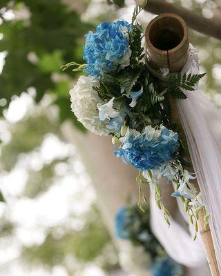 Hydrangeas for wedding arch