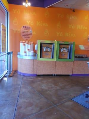 Frozen yogurt section