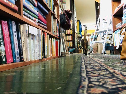 Inklings Bookshop and Gallery