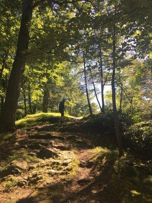 Near the top of the council rock